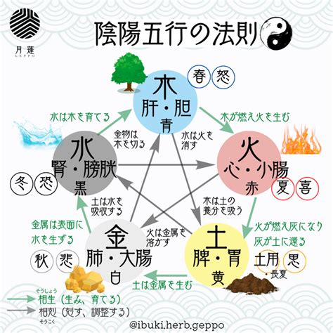 陰陽 分類|陰陽五行思想